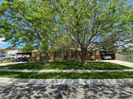 featured image of N Elm St