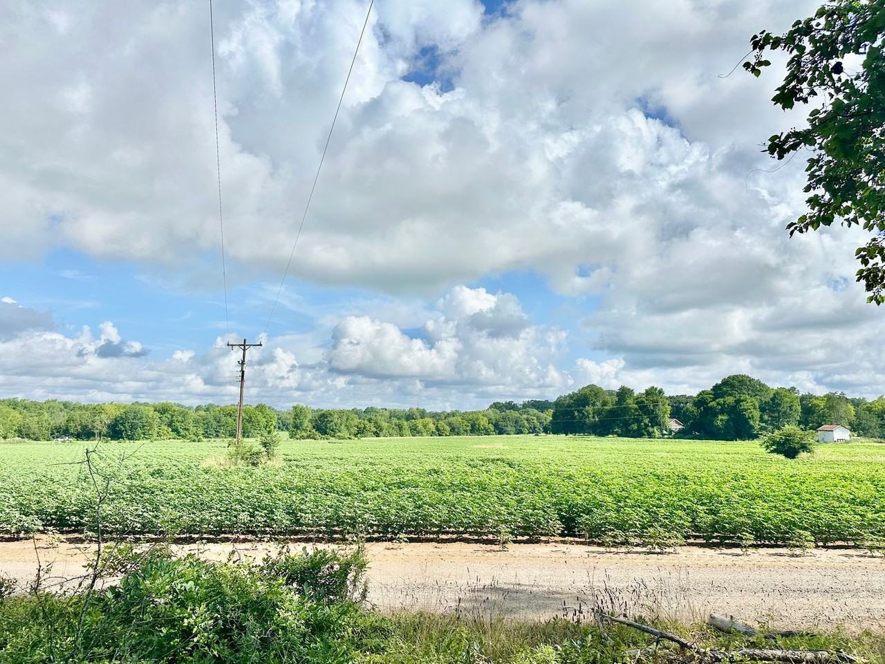 3351 Strait Rd - Photo 2 of 27