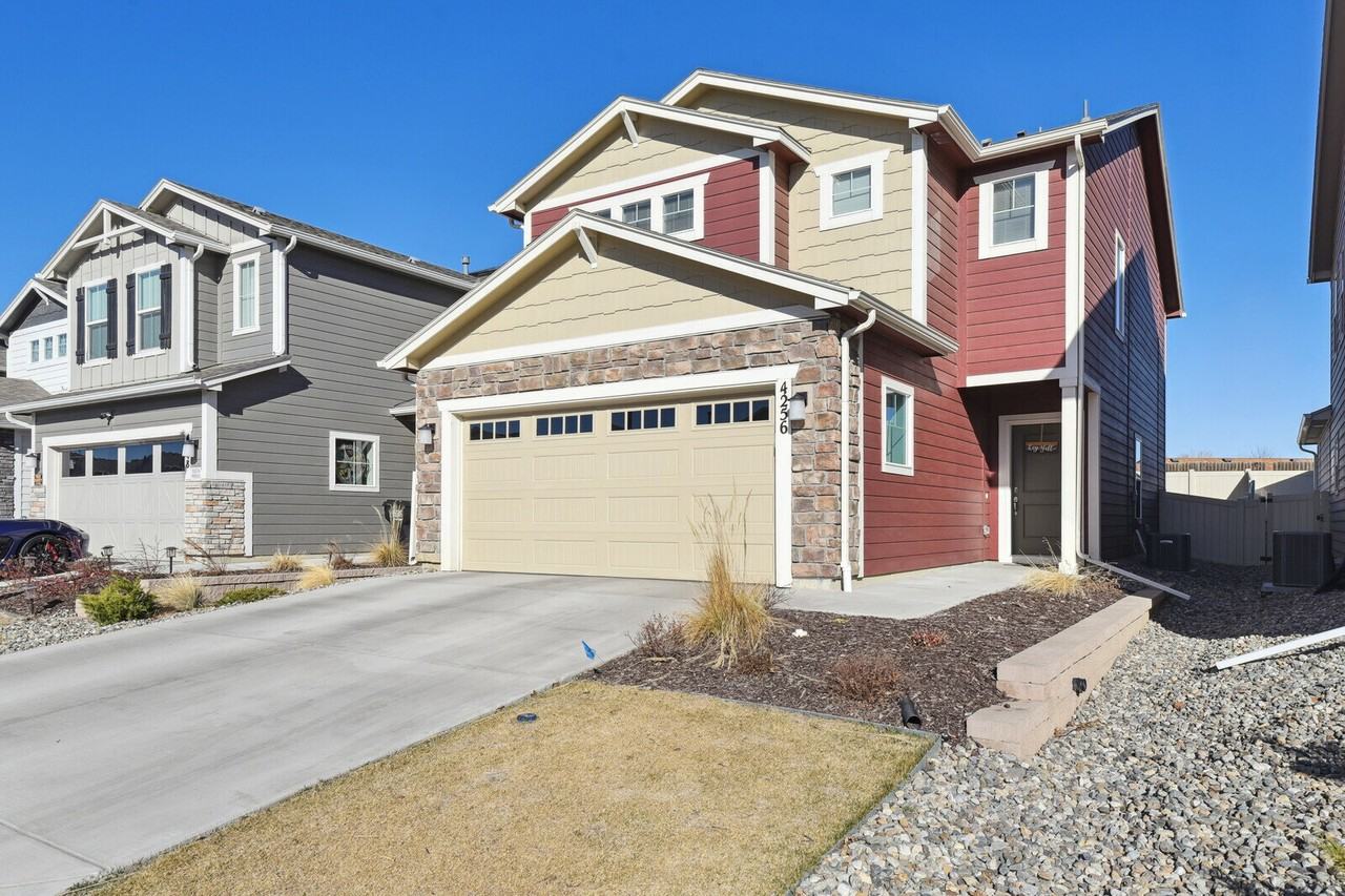 4256 Samaritan Loop - Photo 3 of 35