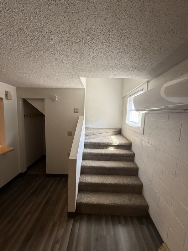 224 Halsey Street #7 - Photo 4 of 11