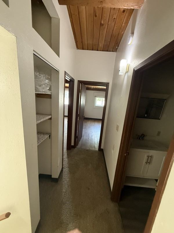 224 Halsey Street #7 - Photo 5 of 11