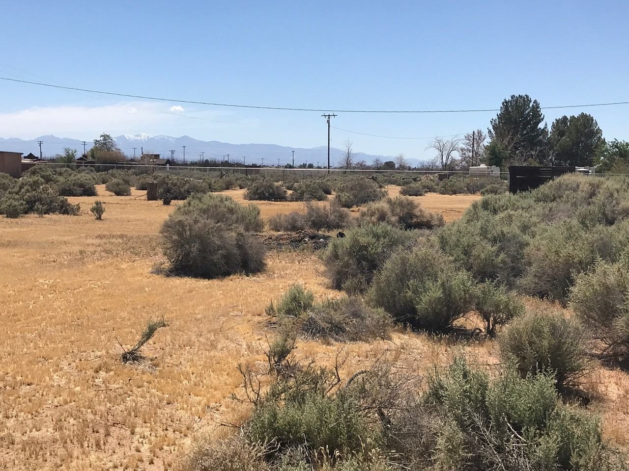 13828 Olema Rd - Photo 2 of 16