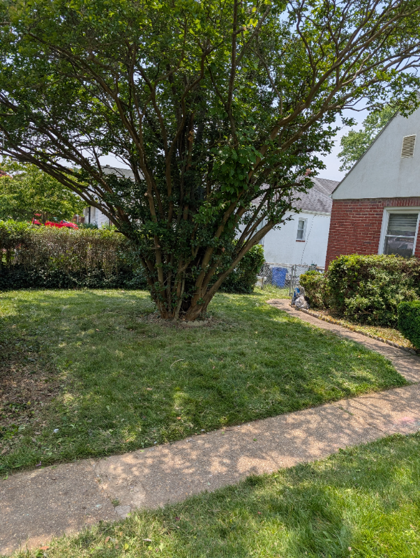 516 Dale Ave - Photo 2 of 23