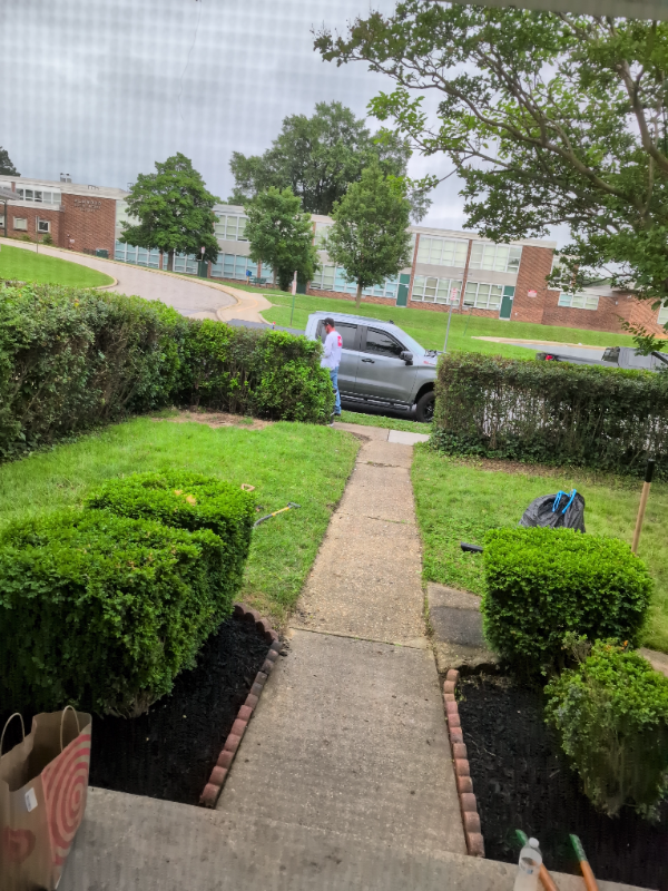 516 Dale Ave - Photo 3 of 23