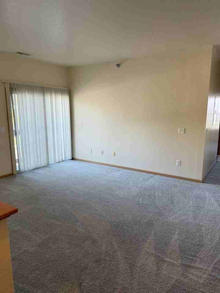 Community Near Downtown Whitehouse - Photo 2 of 50