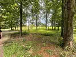 featured image of 995 Mckee Rd