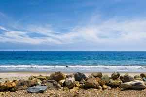 featured image of 1359 Plaza Pacifica