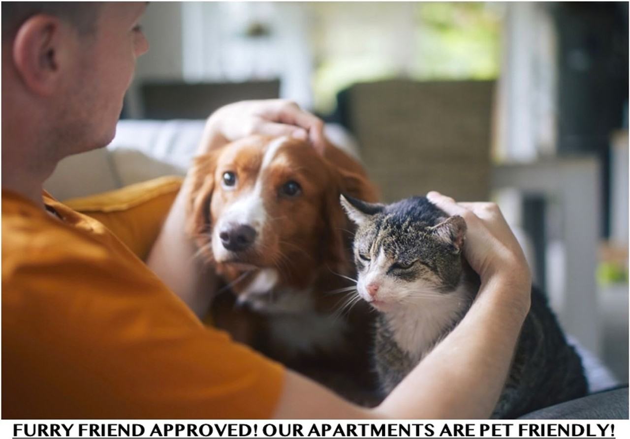 Bloom at Morrow - Photo 4 of 17