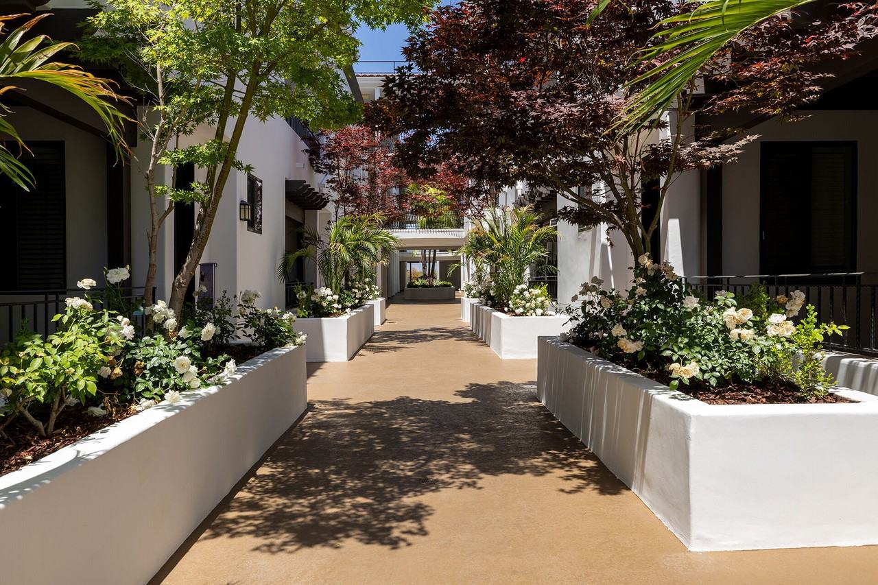 Vista Paradiso - Photo 5 of 30