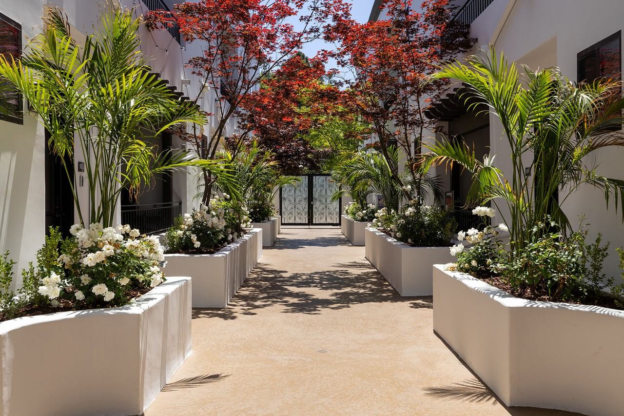 Vista Paradiso - Photo 6 of 30