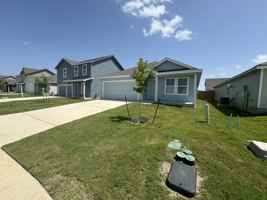 featured image of FM1101 & Windflower