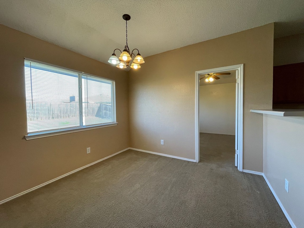 4903 Morning Glen Ln - Photo 5 of 21