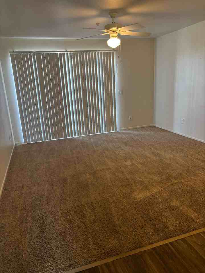 Three Palms - Photo 2 of 6