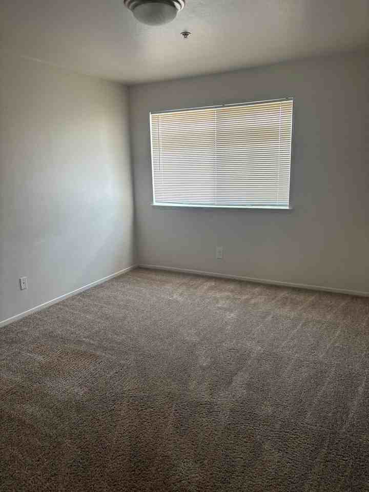 Three Palms - Photo 3 of 6