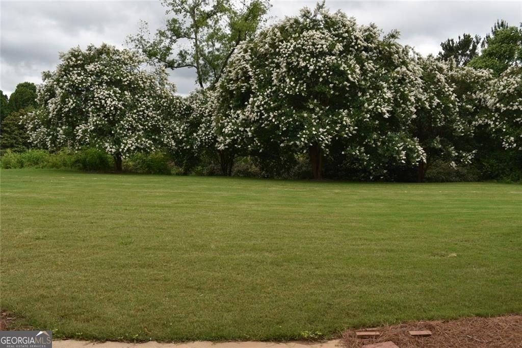 556 Windstone Trl - Photo 4 of 24