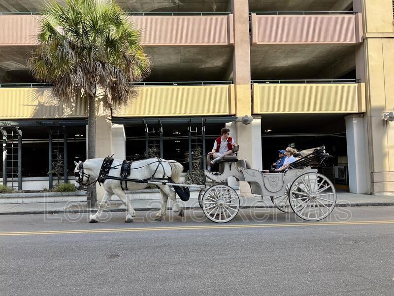 85 Cumberland St - Photo 4 of 23