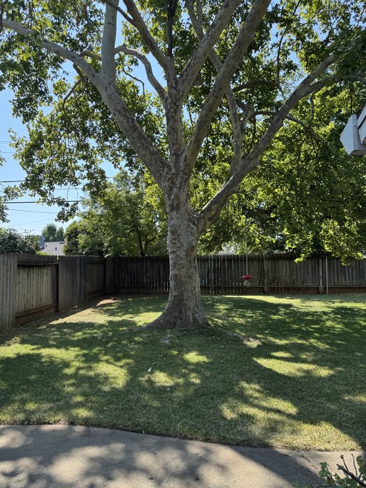 1448 Sebastian Way - Photo 2 of 11