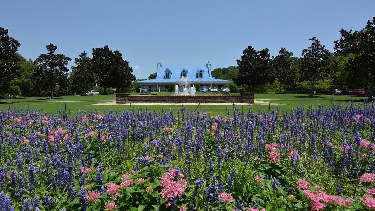 549 Blue Stem Drive - Photo 7 of 24