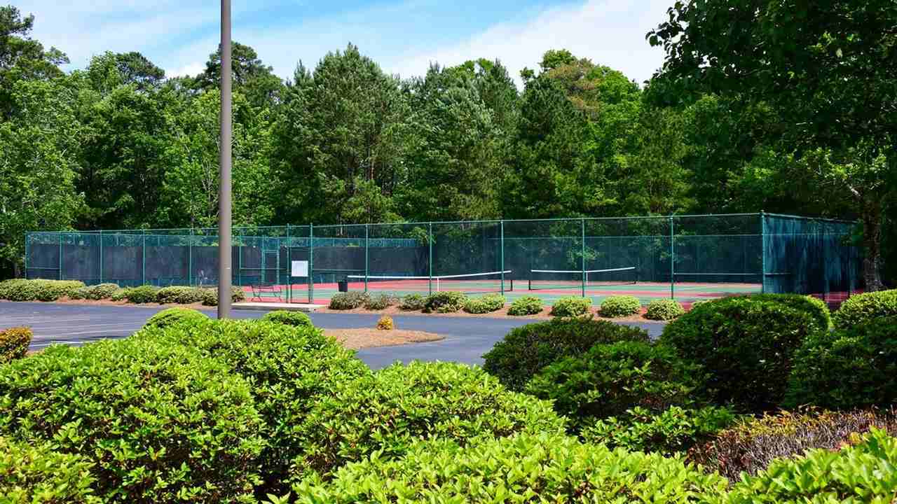 1041 Blue Stem Dr #1253479P - Photo 4 of 23