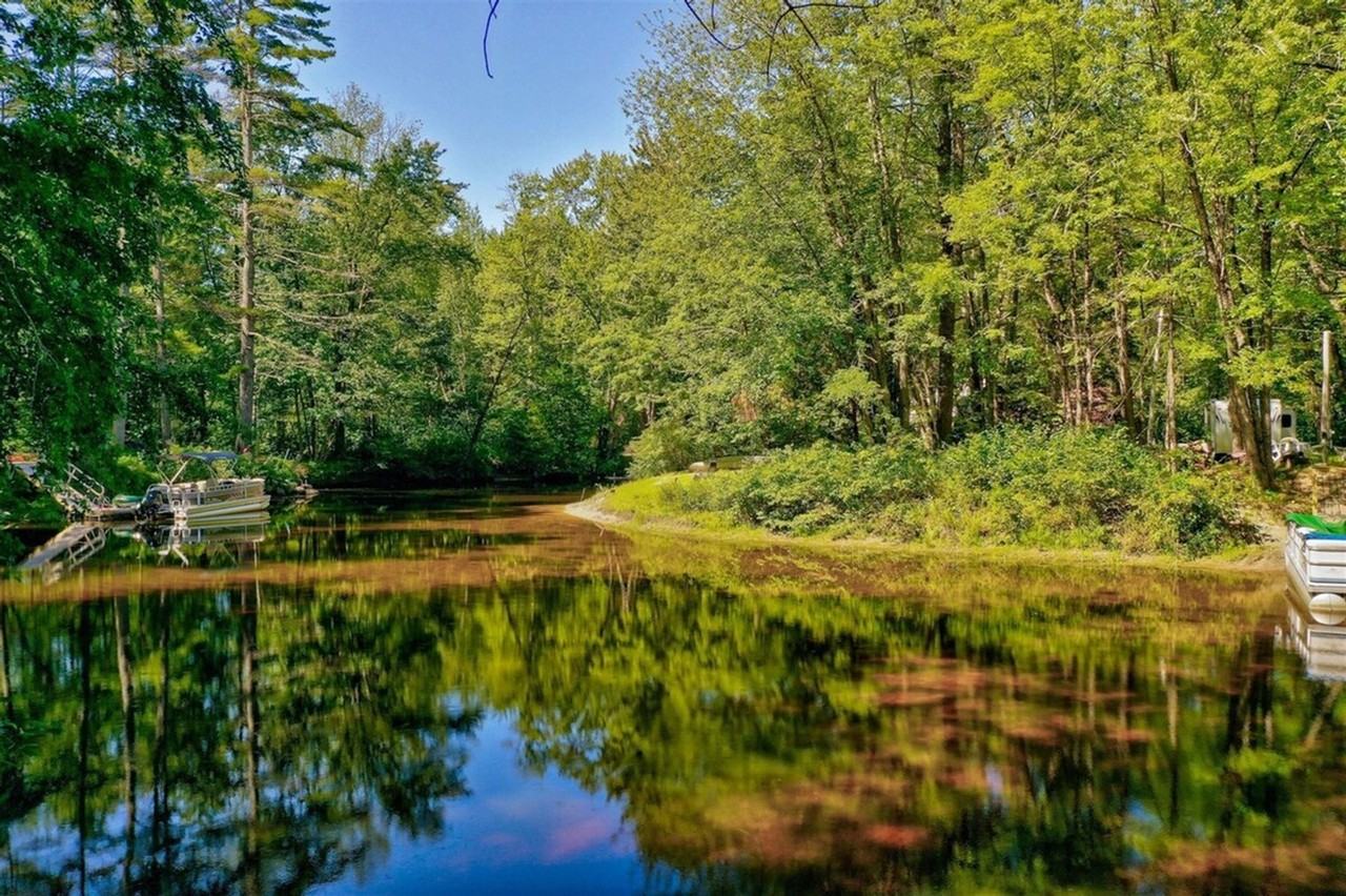 62 Oconnor Rd #1255640P - Photo 6 of 29