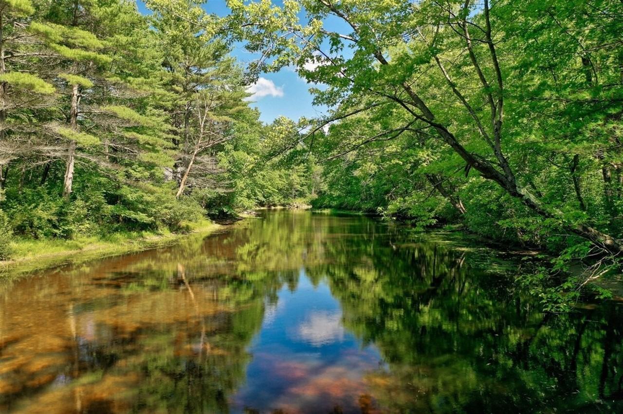 62 Oconnor Rd #1255640P - Photo 7 of 29