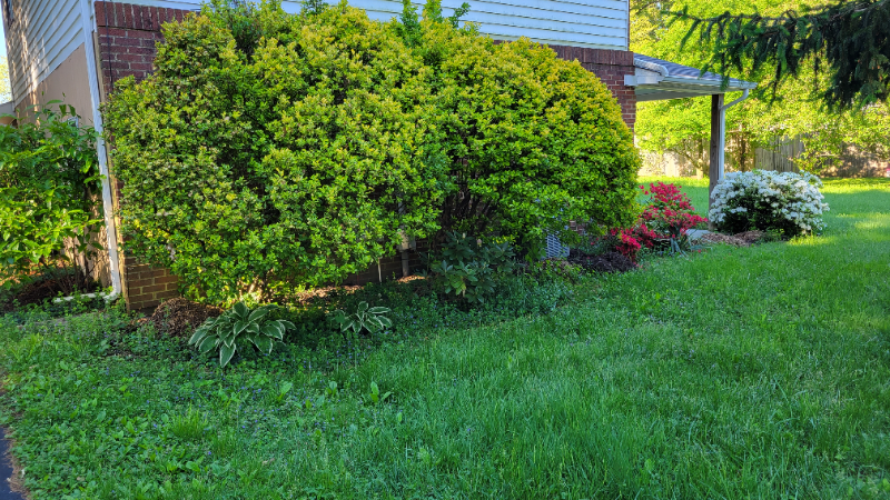 211 Maple Ave - Photo 3 of 18