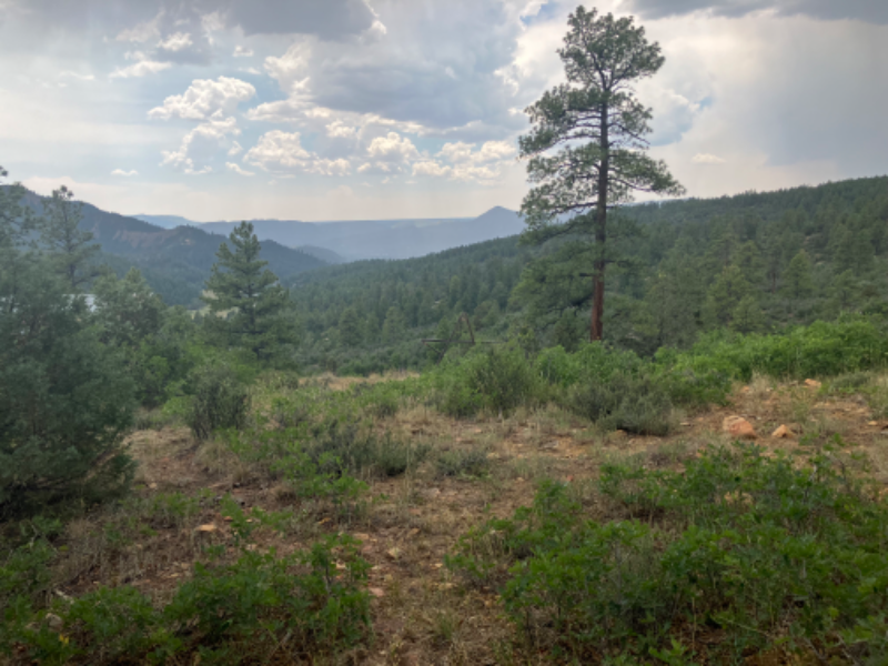 4993 Cr #1 - Photo 3 of 18