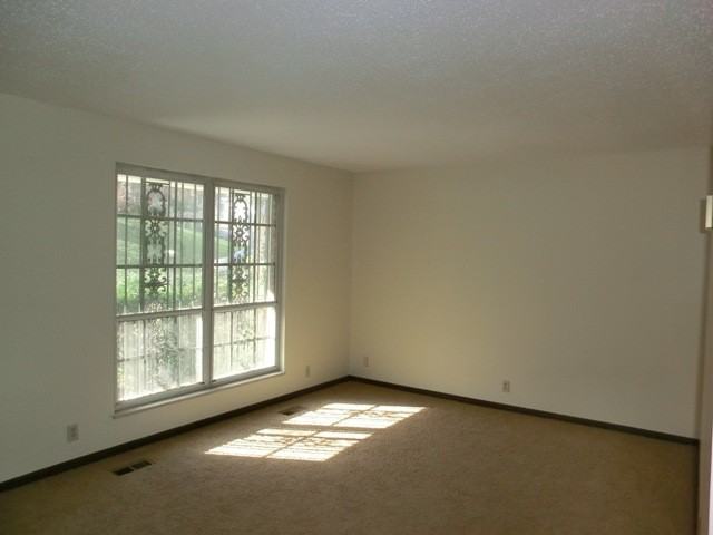 1330 Iroquois St - Photo 3 of 13