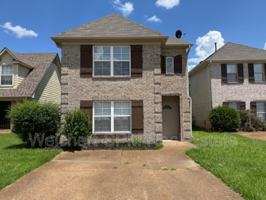 featured image of 9258 Lazzini Cv ##Tn