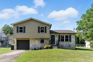 featured image of 3907 Vienna Dr