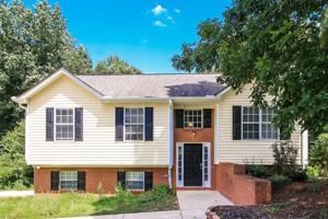 featured image of 505 Brewer Dr