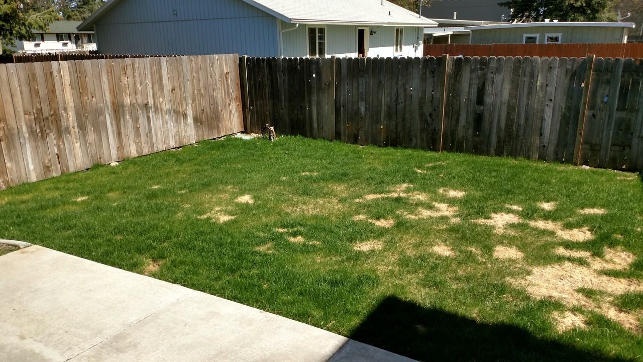 1608 N Catherine St - Photo 6 of 16