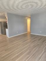 1009 Hannah St - Photo 1 of 1