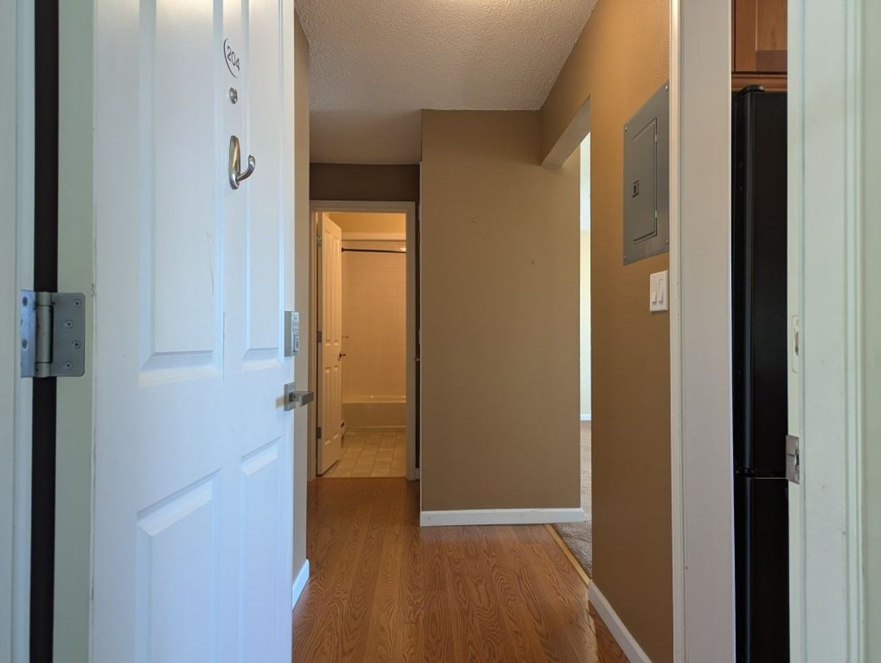 520 Maple St #204 - Photo 6 of 20