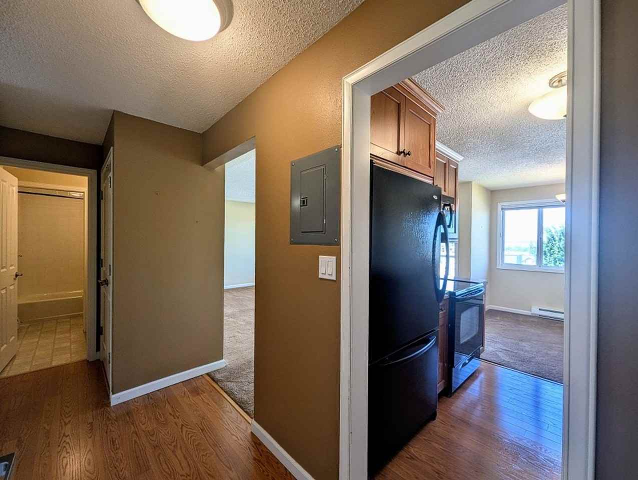 520 Maple St #204 - Photo 7 of 20