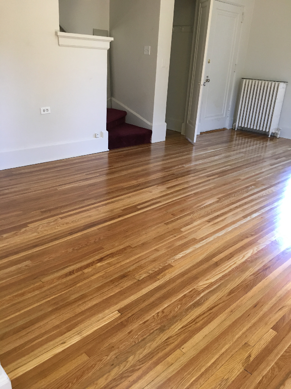 2417 E 3rd St #1 - Photo 4 of 38