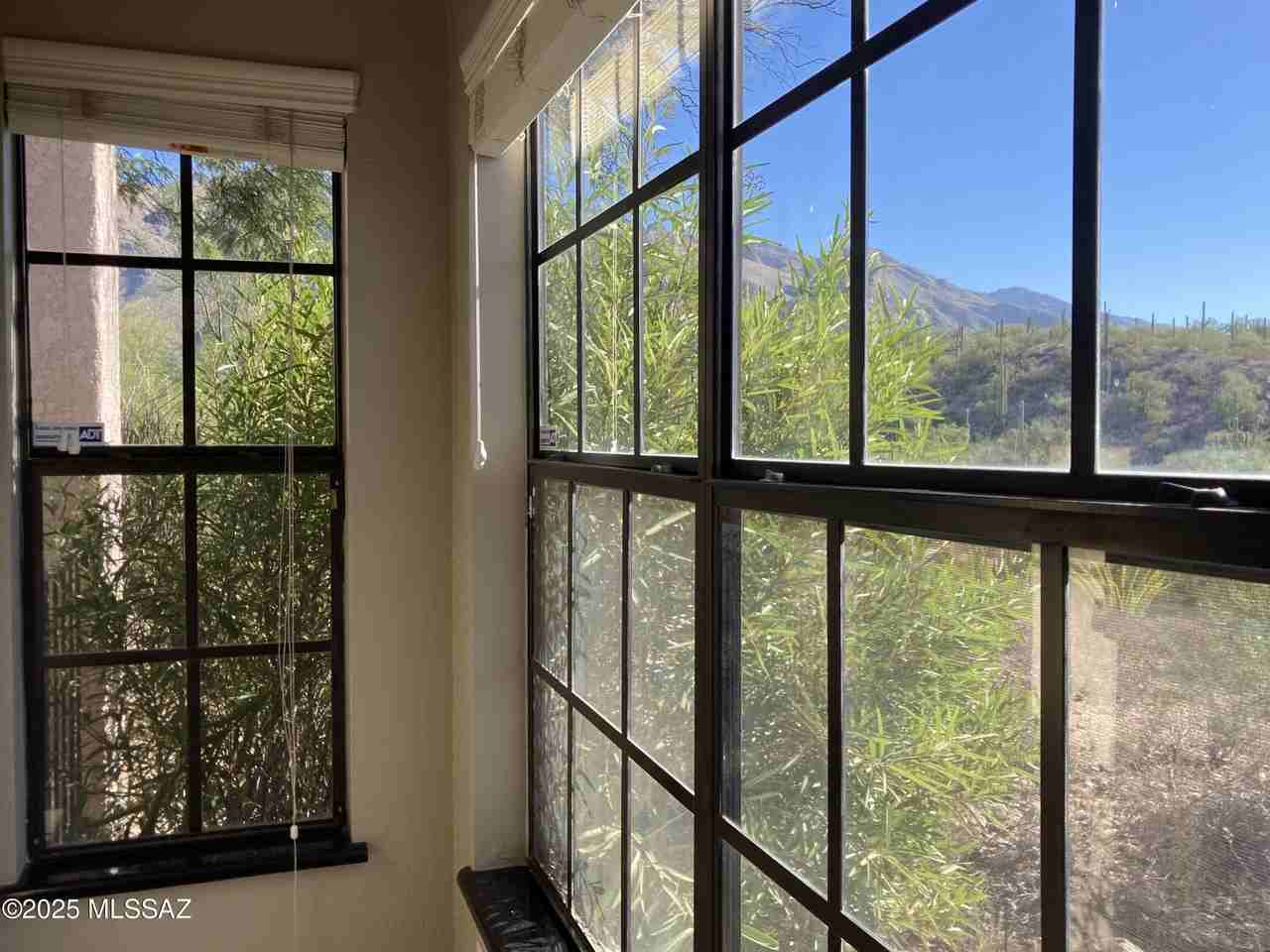 6500 N Tierra De Las Catalinas - Photo 5 of 32