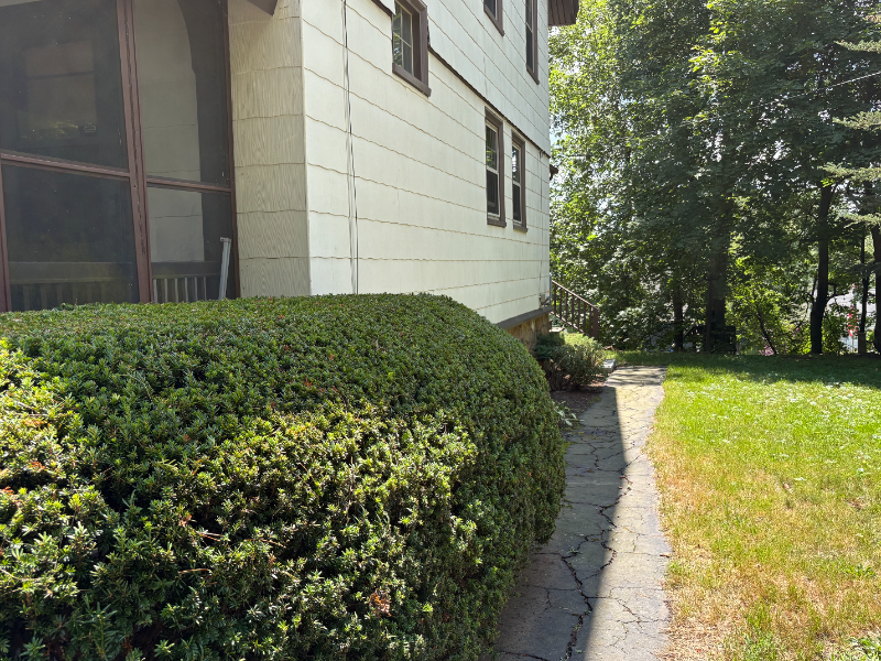 16 Inman St - Photo 2 of 14