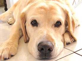 653 Loop #108 - Photo 1 of 1