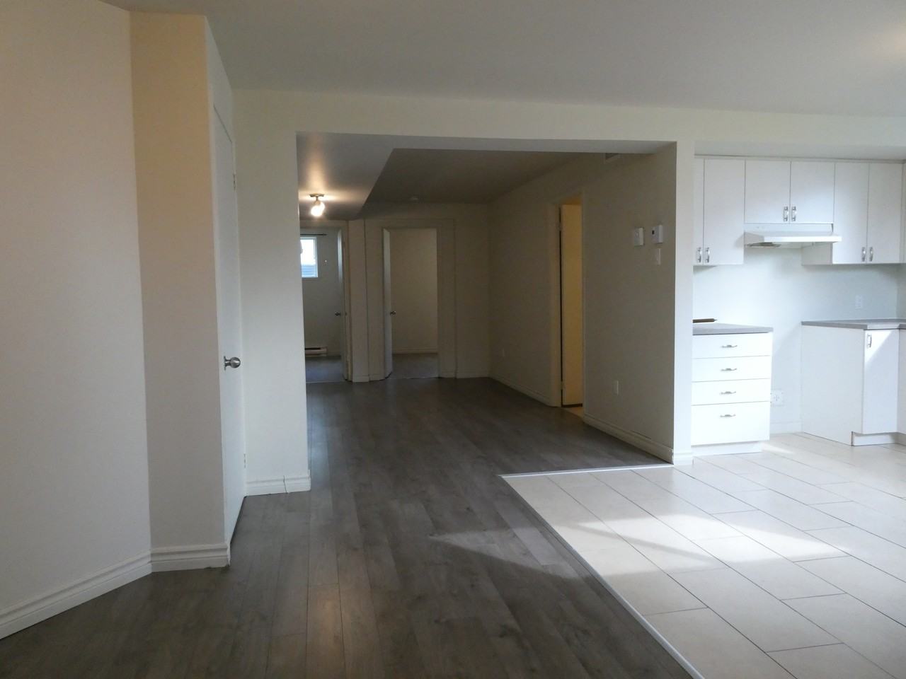 408 Rue Hector-Fabre — photo 1