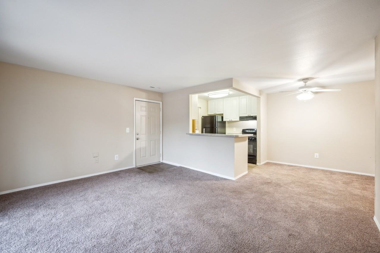 Turtle Cove - Photo 6 of 32