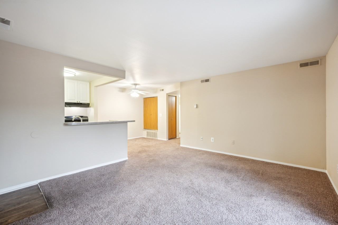 Turtle Cove - Photo 7 of 32