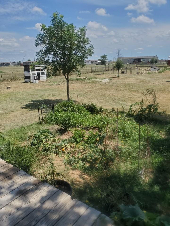 1118 Meadowlark Dr #NA - Photo 3 of 17