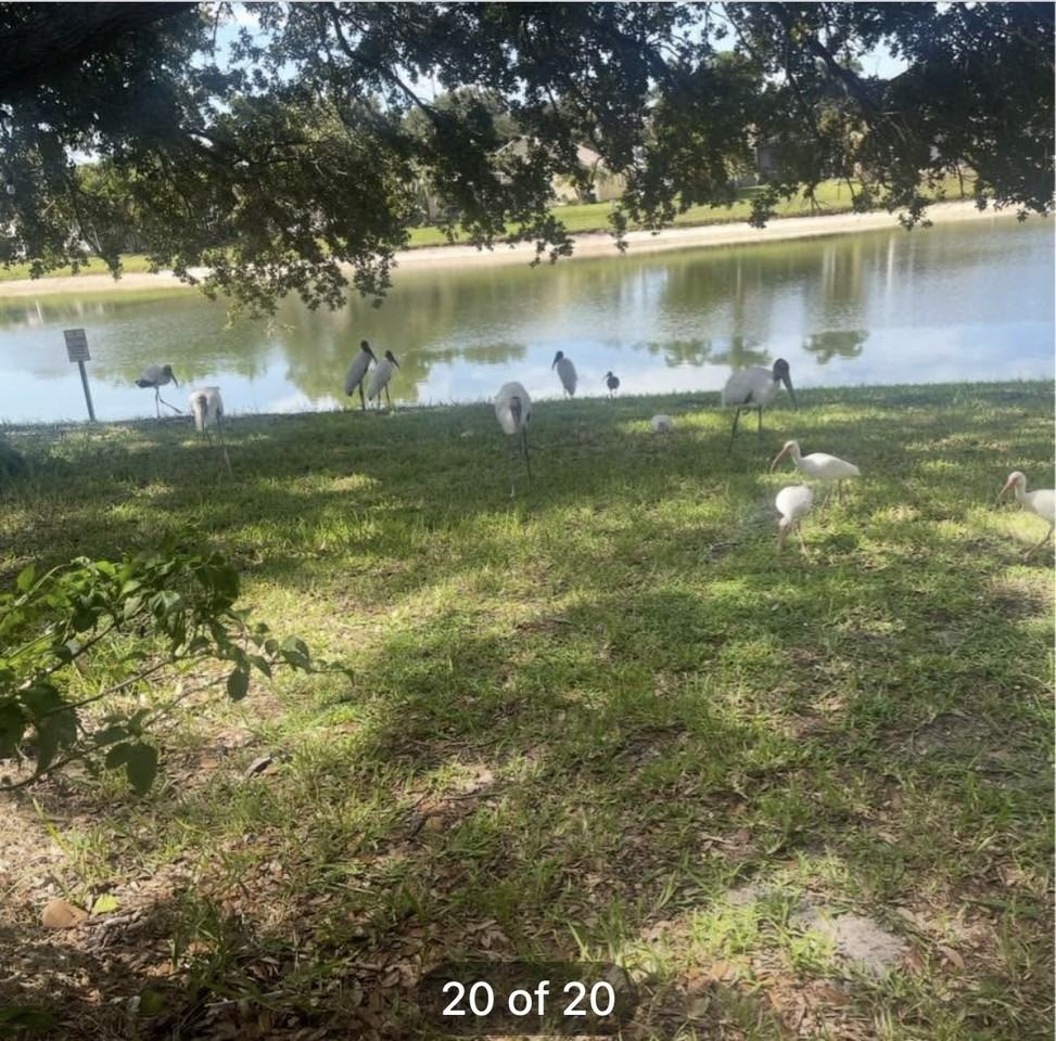 4892 Erin Ln #NA - Photo 2 of 19