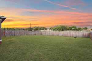 featured image of 5342 Agave Spine #NA