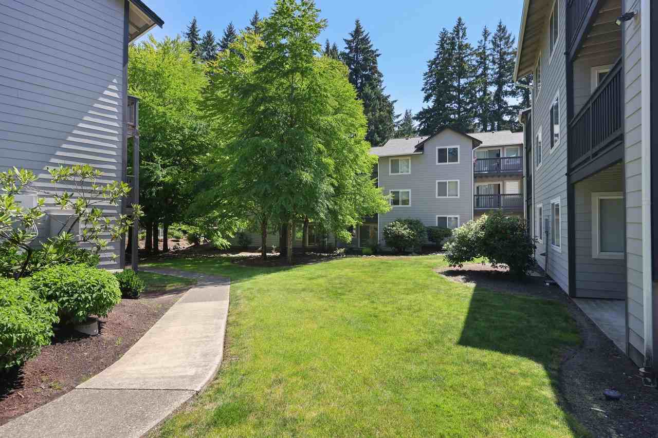 Griffin Glen - Photo 6 of 35