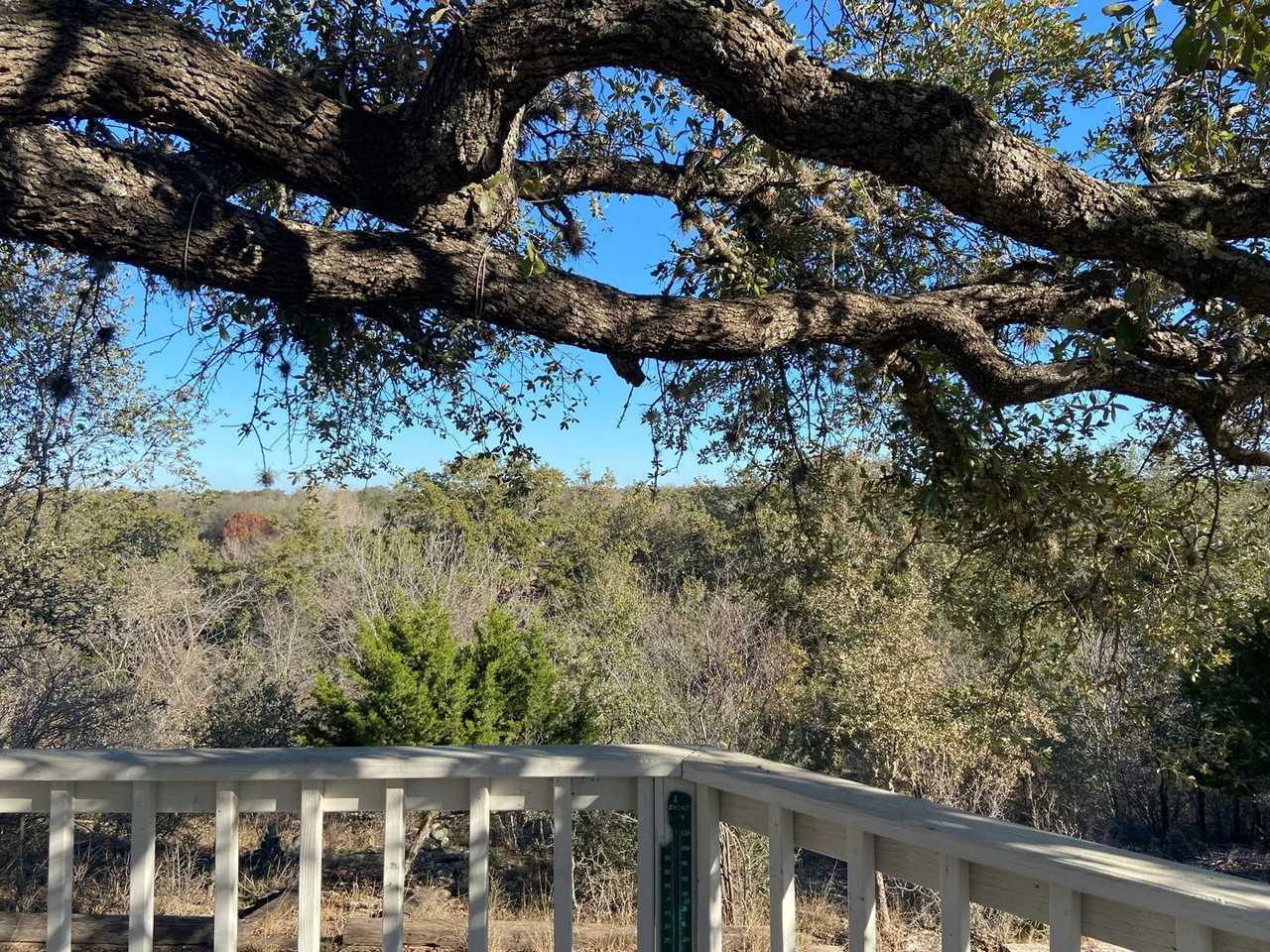 174 Lakeshore Ln - Photo 3 of 10