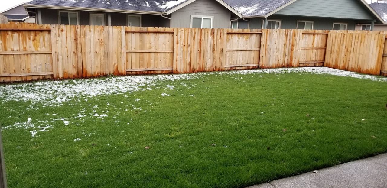 2905 Sw Shimmer Ln - Photo 6 of 6