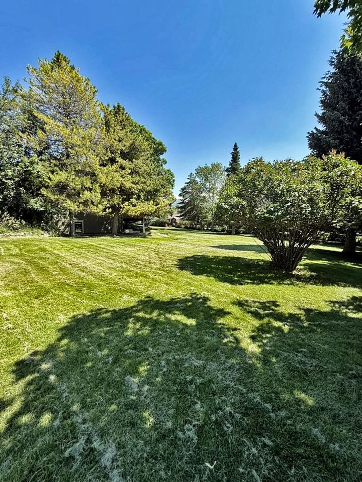 4432 Annette Park Dr - Photo 2 of 33
