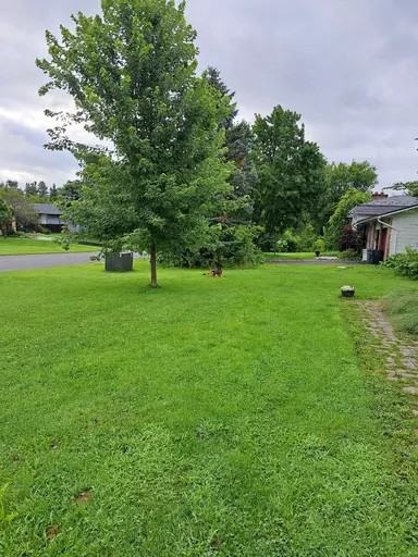 161 Snelgrove Dr - Photo 2 of 21